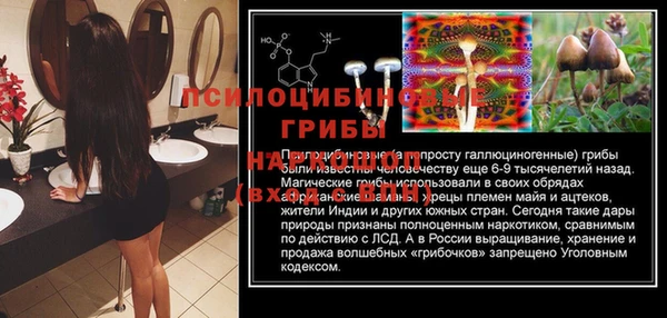 винт Алексеевка