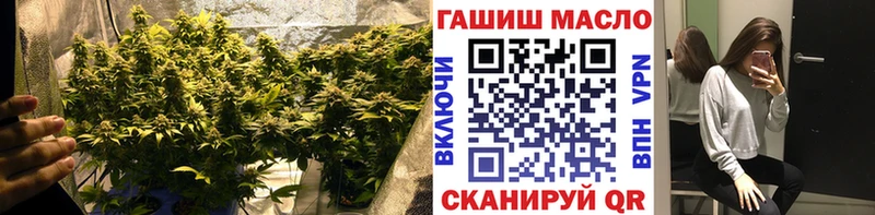как найти Цоци-Юрт Дистиллят ТГК THC oil